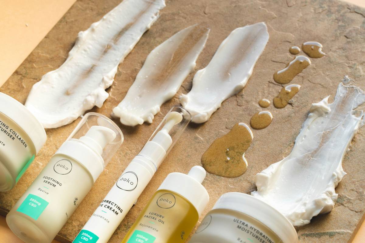 Close-up of fresh green marine plants harvested from Atlantic coast for organic skincare